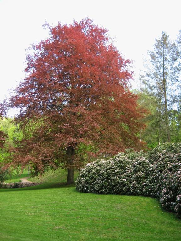 Augustenhof Bad Elster Esterno foto