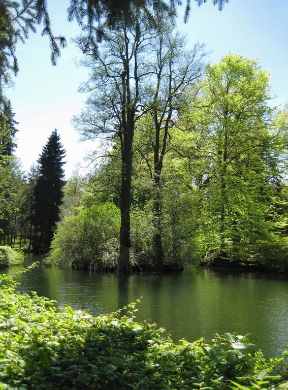 Augustenhof Bad Elster Esterno foto